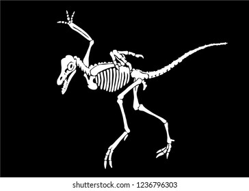 Graphical skeleton of archeopteryx isolated on black background,vector sketch for tattoo and printing