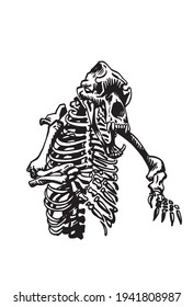 Graphical skeleton of bear isolated on white background,vector illustration
