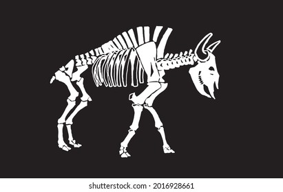 Grafische Skelette von Bison einzeln auf schwarzem Hintergrund, Vektorgrafik