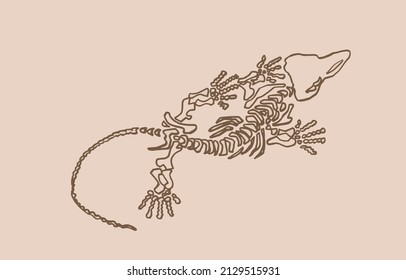 Graphical skeleton of crocodile,lined drawing, Vector sepia crocodile 