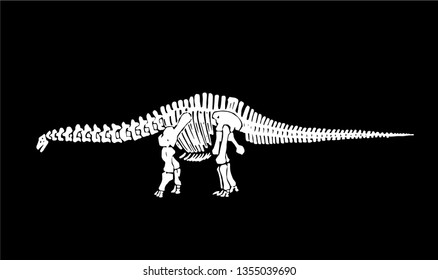 Graphical skeleton of diplodocus isolated on black background,vector illustration, tattoo,science