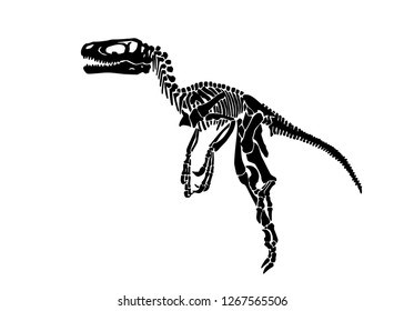 Graphical skeleton of pachycephalosaurus isolated on white background,vector tattoo illustration