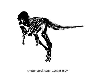 Graphical skeleton of pachycephalosaurus isolated on white background,vector tattoo illustration