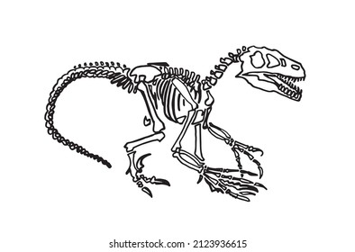 Graphical skeleton raptor isolated on white, vector dinosaur of jurassic period, illustration for educational books,printing and design