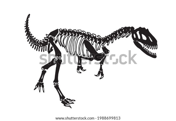 Graphical Skeleton Raptor Isolated On White Stock Vector (Royalty Free ...