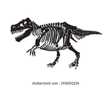 Graphical skeleton of raptor on white background,vector element,anthropology fossil