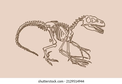 Graphical skeleton raptor, vector dinosaur of jurassic period, sepia illustration for educational books,printing and design
