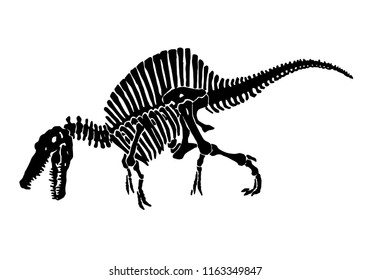 Graphical skeleton of spinosaurus  isolated on white background,vector sketch for tattoo and printing