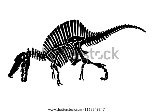 spinosaurus skeleton drawing