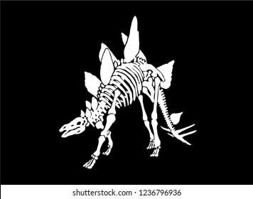  Graphical skeleton of stegosaurus isolated on black background,vector sketch for tattoo and printing