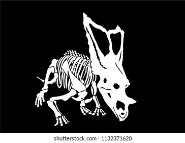 Graphical skeleton of triceratops isolated on black,vector sketch for tattoo