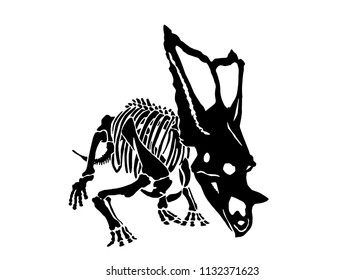 Graphical skeleton of triceratops isolated on white,vector sketch for tattoo