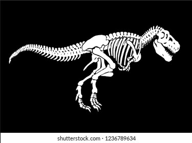 Graphical skeleton of tyrannosaurus isolated on black background,vector sketch for tattoo and printing