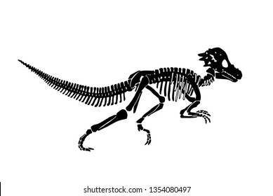 Graphical skeleton of tyrannosaurus isolated on white background,vector illustration, tattoo,science