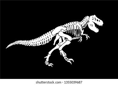 Graphical skeleton of tyrannosaurus isolated on black background,vector illustration, tattoo,science 