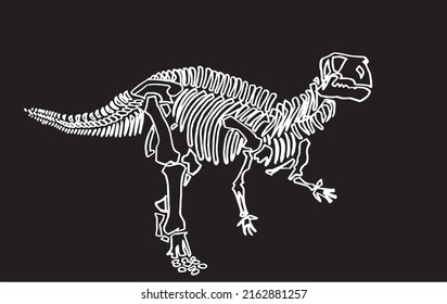 Graphical skeleton of tyrannosaurus isolated on black,vector sketchy illustration. Illustration for coloring and printing