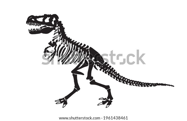 Graphical Skeleton Tyrannosaurus Isolated On White Stock Vector ...