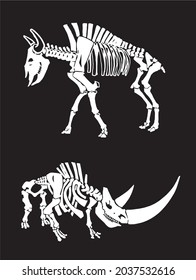 Graphical Skeleton Of Wooly Rhino And Bull Isolated On Black Background,vector 