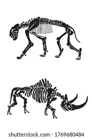 Graphical  skeletons wooly rhino   saber   toothed tiger isolated white  paleontology elements  vector illustration
