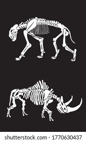 Graphical  skeletons wooly rhino   saber   toothed tiger isolated black  paleontology elements  vector silhouettes