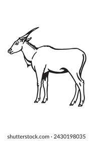 Graphical sketch of African goat on white background, vector illustration