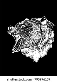 Graphical sketch of angry bear roaring isolated on black background,vector