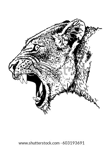 Free Free 225 Lion Mouth Svg SVG PNG EPS DXF File