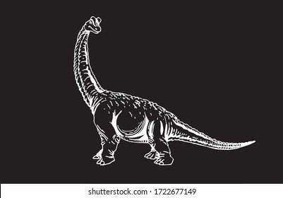 Graphical sketch of Brachiosaurus isolated on black background , vector engraved  illustration, dinosaur