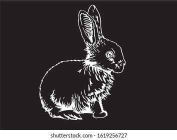 Graphical sketch of bunny isolated on black, vector engraved illustration