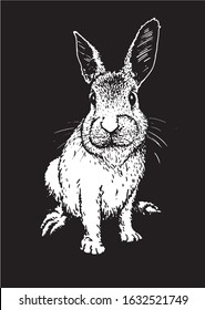 Graphical sketch of bunny isolated on black background,vector engraved illustration