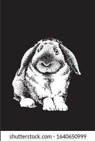 Graphical sketch of bunny isolated on black background,vector engraved illustration