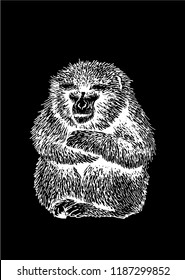 Graphical sketch of Chinese chimp isolated on black background ,vector monkey