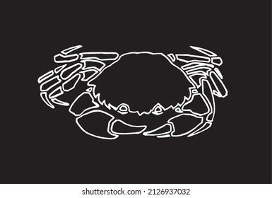 Graphical sketch of crab isolated on black background,vector sea-food element  doodle drawing