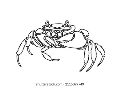 Graphical sketch of crab on white,lined drawing for coloring and design