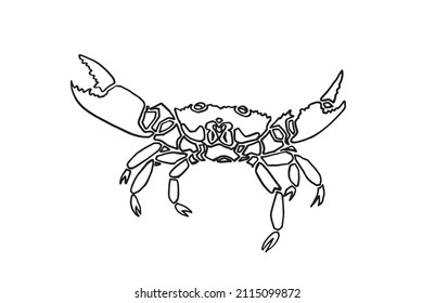 Graphical sketch of crab on white,lined drawing for coloring and design