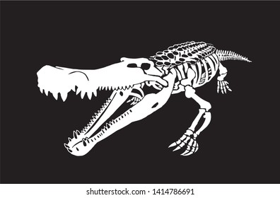 Graphical sketch crocodile isolated on black,vector illustration