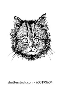 Graphical sketch of cute kitten with surprised look isolated on white, illustration for coloring, tattoo and printing