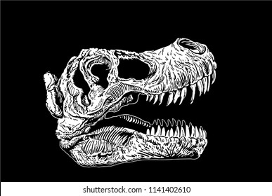 Graphical sketch of dinosaur skull isolated on black background,vector engraved illustration for tattoo and printing