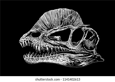 Graphical sketch of dinosaur skull isolated on black background,vector engraved illustration for tattoo and printing