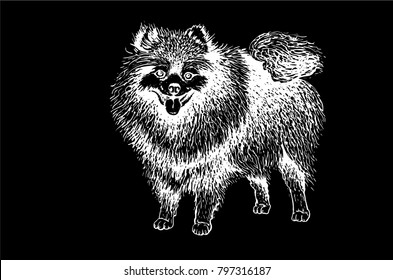 Graphical sketch of dog isolated on black background,vector