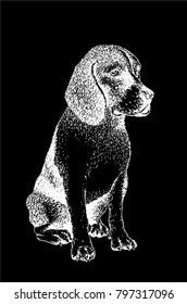 Graphical sketch of dog isolated on black background,vector