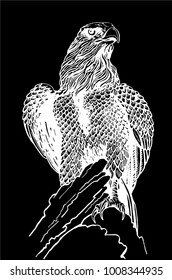 Graphical sketch of eagle sitting on the branch,black background ,vector,tattoo