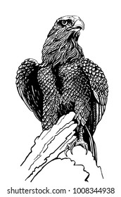 Graphical sketch of eagle sitting on the branch,white background ,vector,tattoo