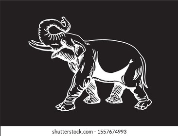 Graphical sketch of elephant isolated on black background,vector engraved illustration