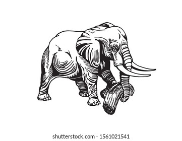 Graphical sketch of elephant isolated on white background,vector illustration for printing  and design