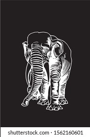 Graphical sketch of elephant isolated on  black background,vector engraved illustration for printing and design