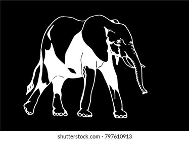 Graphical sketch of elephant isolated on black background,vector illustration