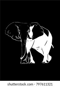 Graphical sketch of elephant isolated on black background,vector illustration