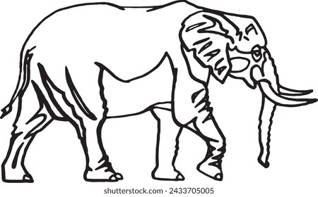 Graphical sketch of elephant walking on white background, vector doodle  illustration	