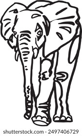 Graphical sketch of elephant walking on white background, vector  lined illustration. 